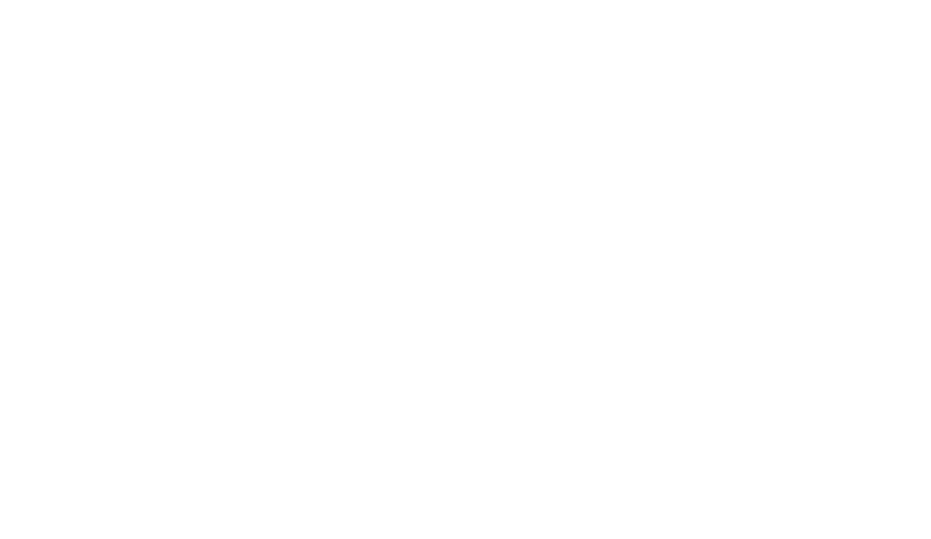 Anelise Marin Casagrande | Advogada